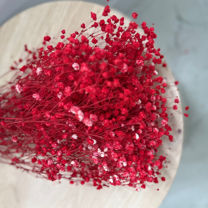 Dried baby breath flowers