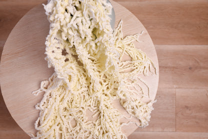 Preserved Amaranthus